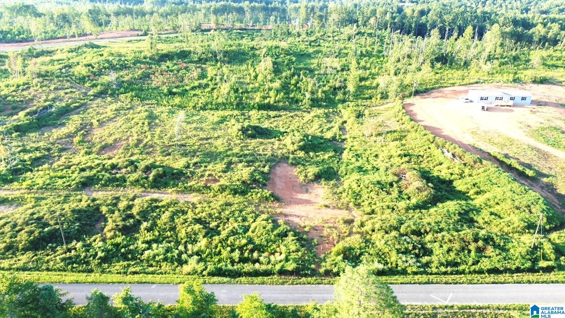 1st image of Parcel #4 Center Hill Road, Delta, AL 36258 | MLS# 21463182