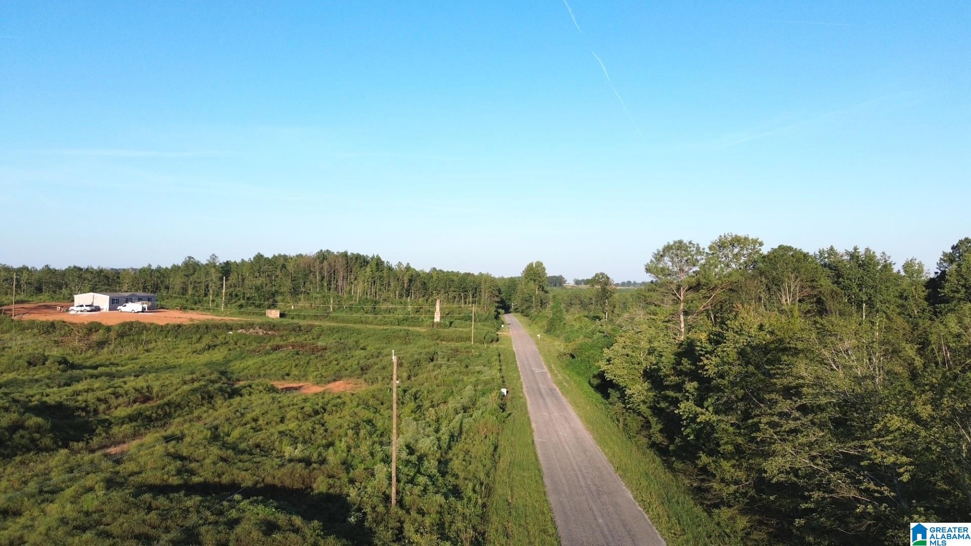 2nd image of Parcel #4 Center Hill Road, Delta, AL 36258 | MLS# 21463182