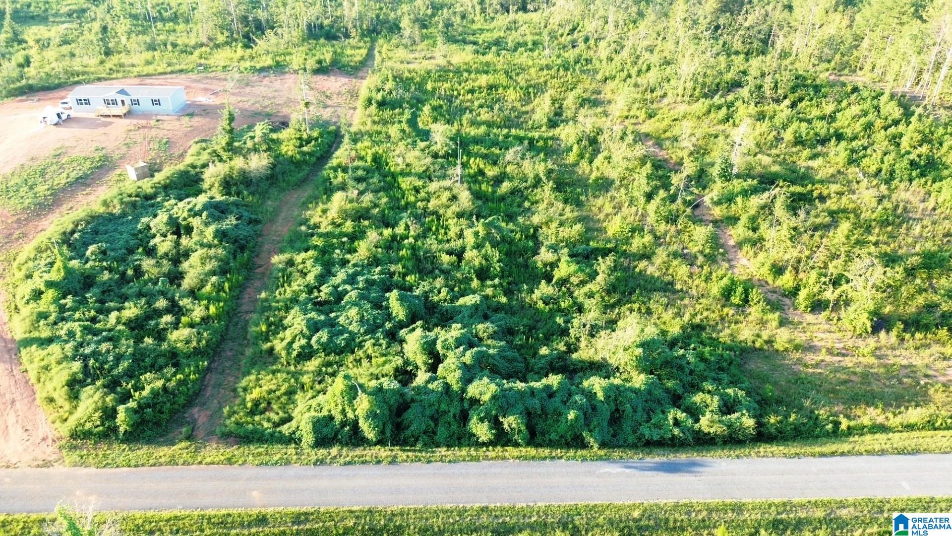 2nd image of Parcel #6 Center Hill Road, Delta, AL 36258 | MLS# 21463183