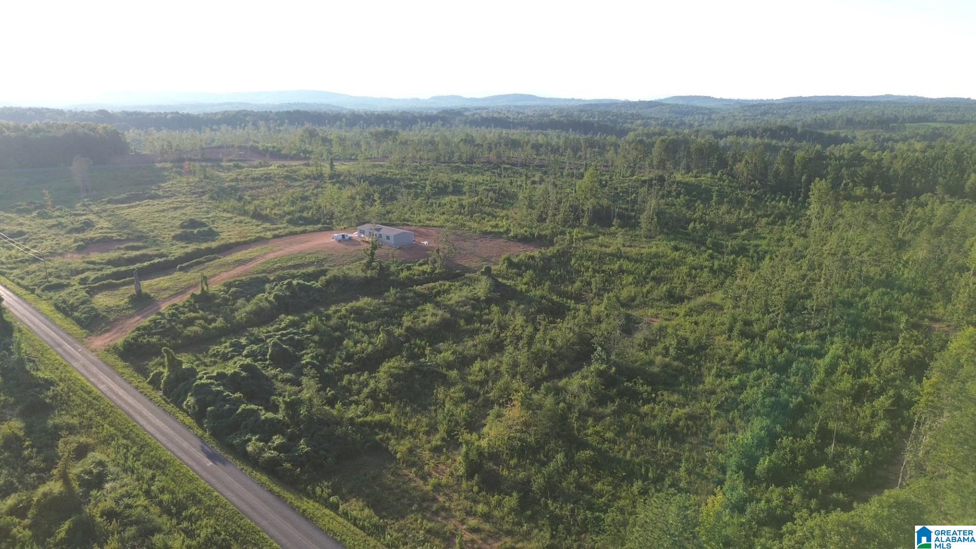 1st image of Parcel #7 Center Hill Road, Delta, AL 36258 | MLS# 21463184