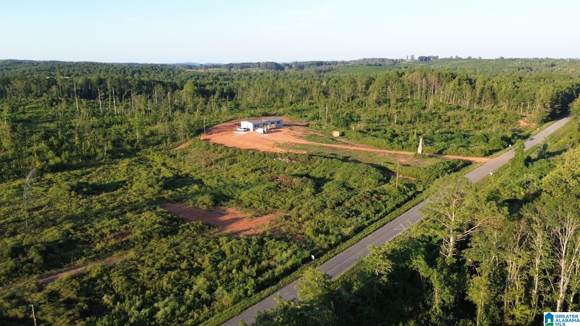 2nd image of Parcel #7 Center Hill Road, Delta, AL 36258 | MLS# 21463184