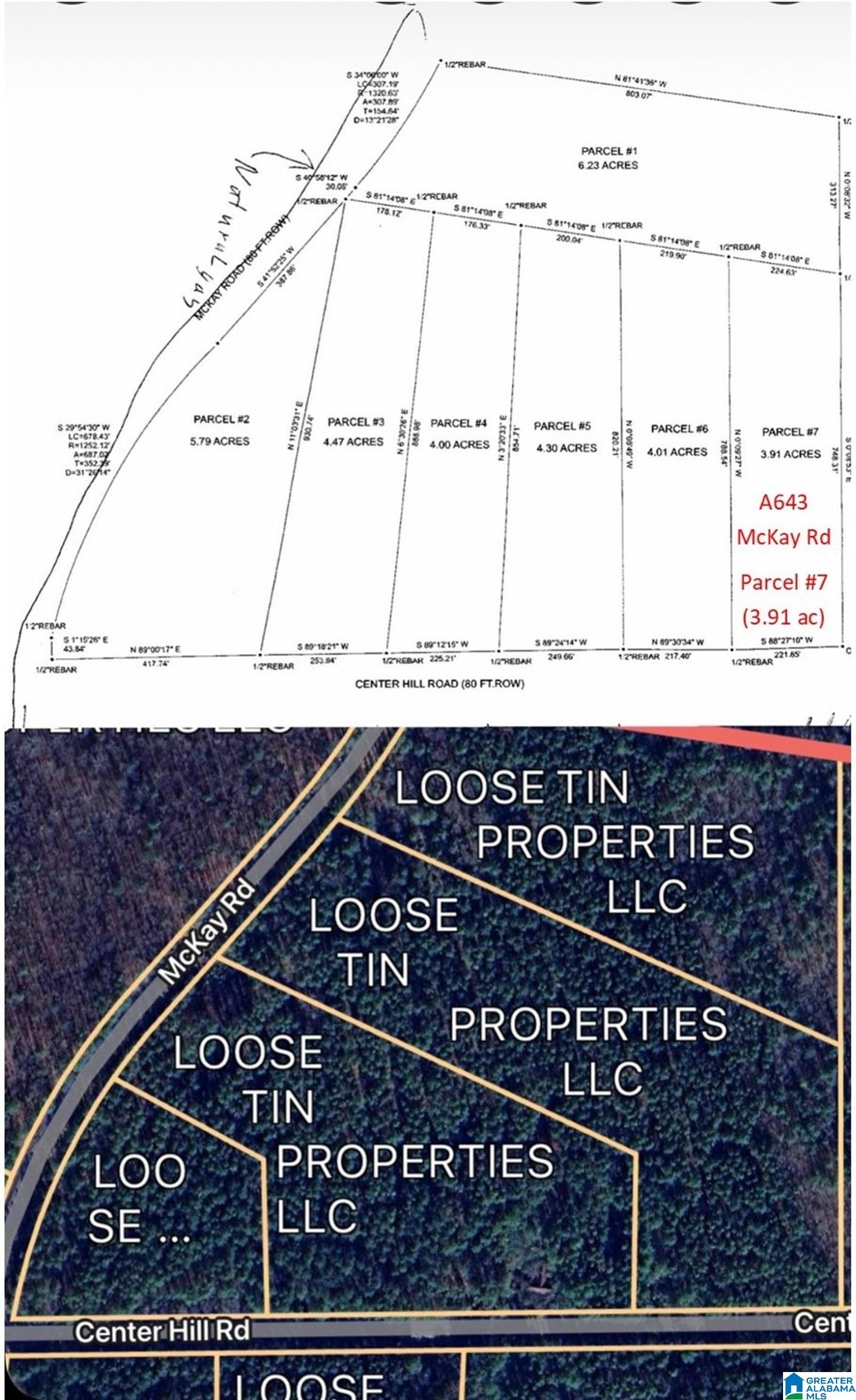 4th image of Parcel #7 Center Hill Road, Delta, AL 36258 | MLS# 21463184