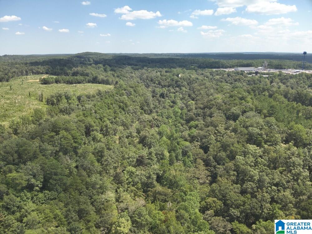 35th image of 63 +/  Acres Stanley Road, Brookwood, AL 35444 | MLS# 21463202