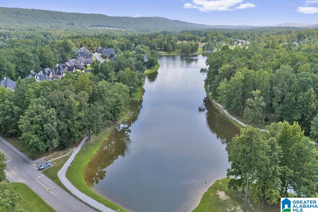 4th image of 6062 Mill Creek Dr, Birmingham, AL 35242 | MLS# 21463239