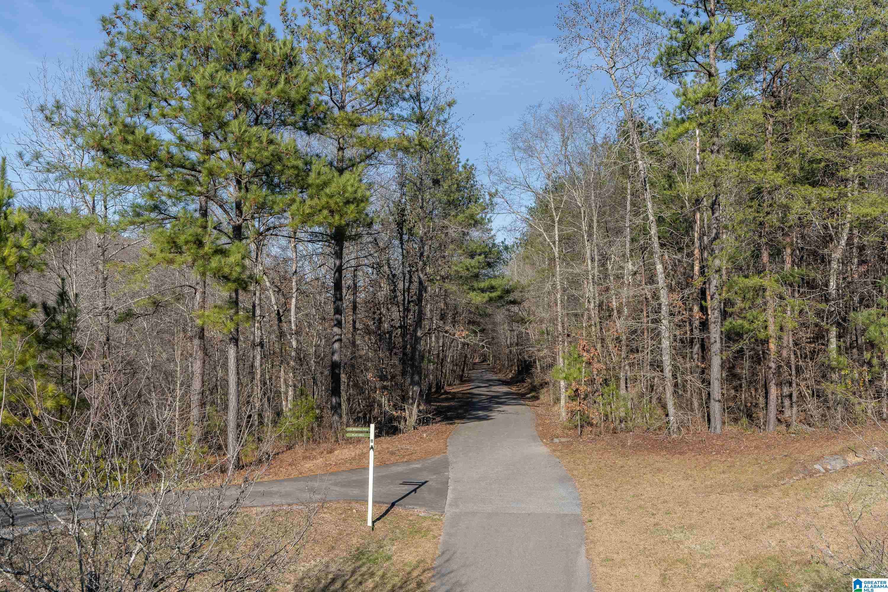67th image of 746 Rosebury Road, Helena, AL 35080 | MLS# 21463247