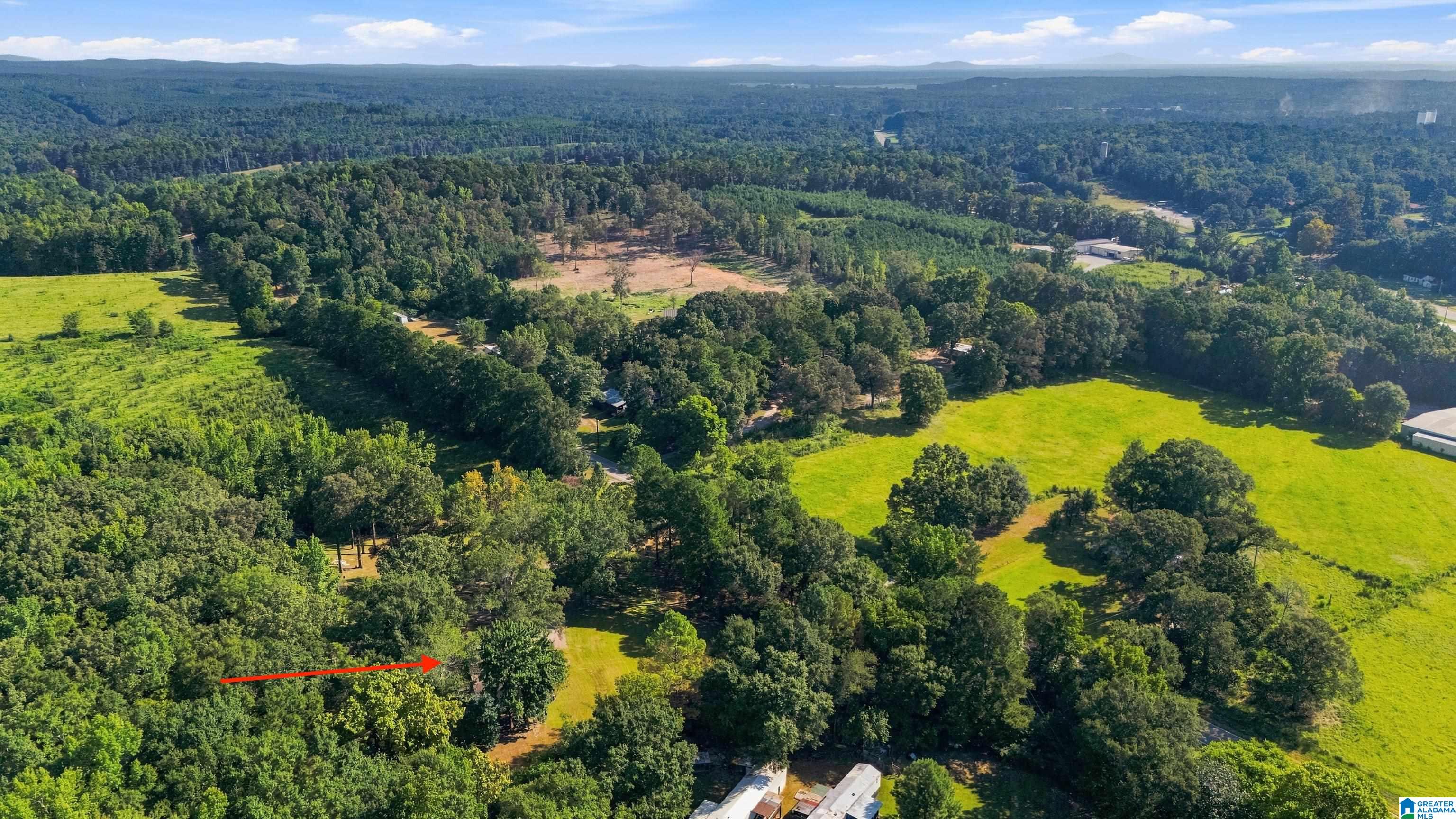 35th image of 10231 N Main Street, Wilsonville, AL 35186 | MLS# 21463306