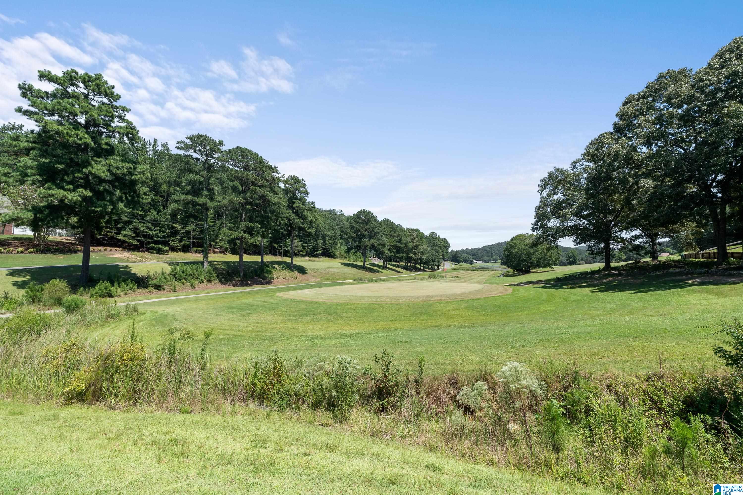 38th image of 34 Red Oak Road, Oneonta, AL 35121 | MLS# 21463340