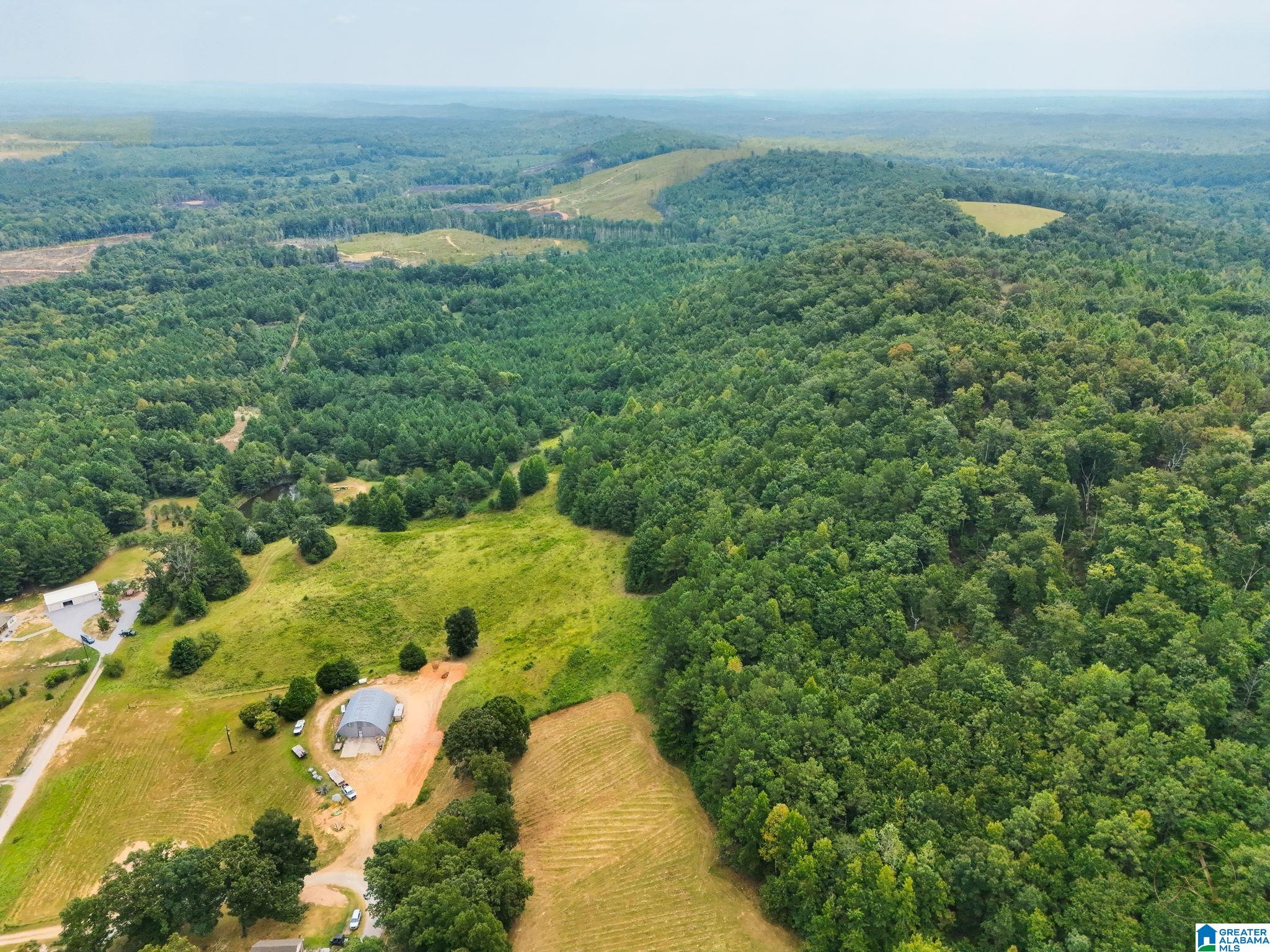 3rd image of 0 County Road 835, Clanton, AL 35046 | MLS# 21463382