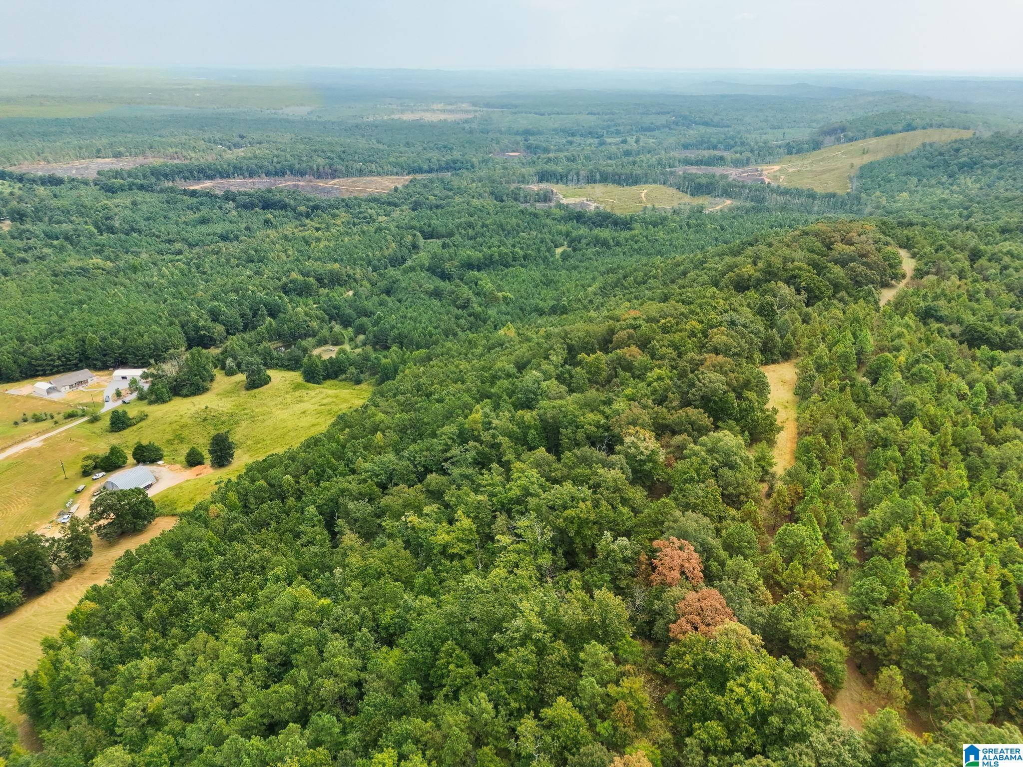4th image of 0 County Road 835, Clanton, AL 35046 | MLS# 21463382