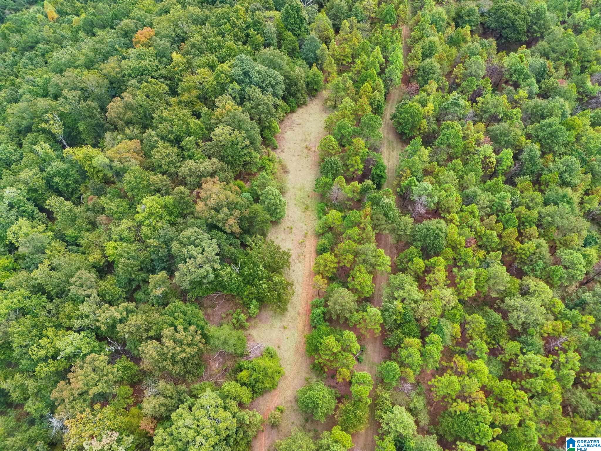 5th image of 0 County Road 835, Clanton, AL 35046 | MLS# 21463382