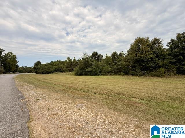 3rd image of 0 County Road 37, Clanton, AL 35045 | MLS# 21463393