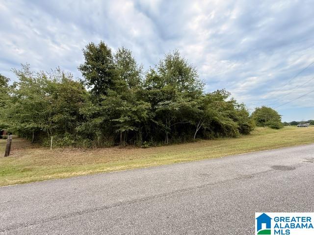 4th image of 0 County Road 37, Clanton, AL 35045 | MLS# 21463393