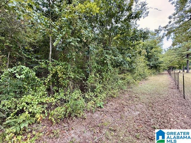6th image of 0 County Road 37, Clanton, AL 35045 | MLS# 21463393