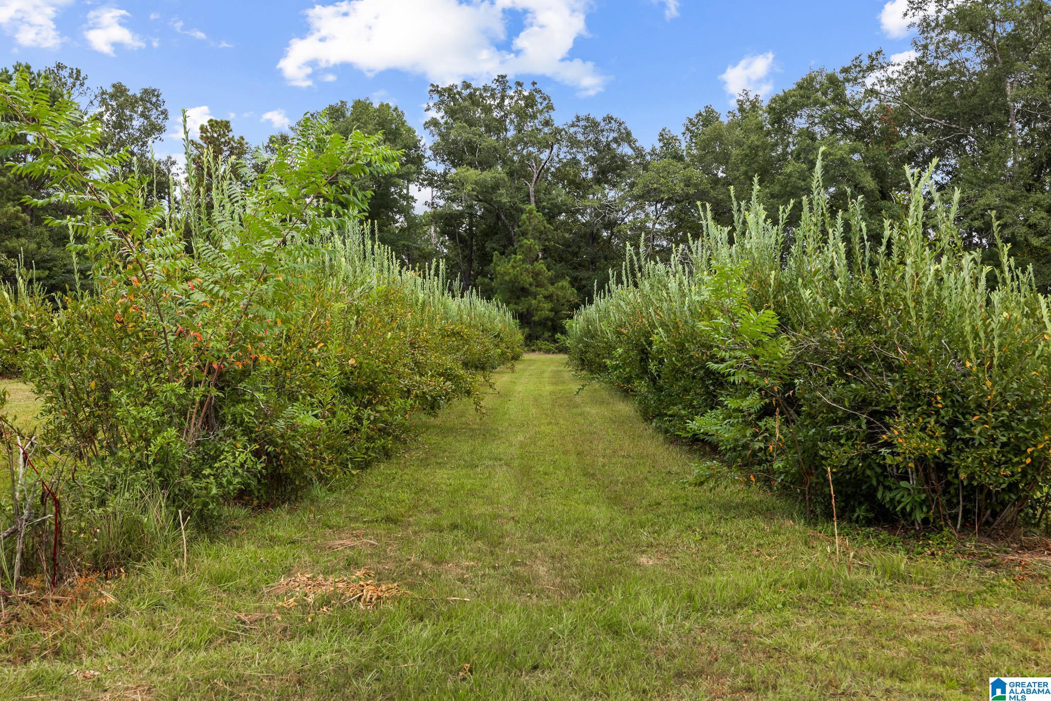 3rd image of 1049 County Road 108, Verbena, AL 36091 | MLS# 21463423