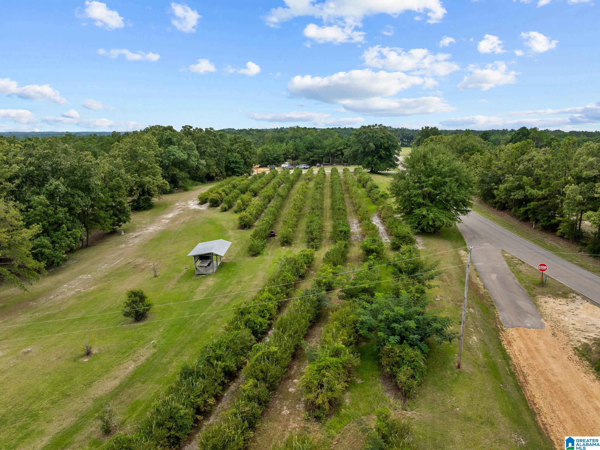 86th image of 1049 County Road 108, Verbena, AL 36091 | MLS# 21463423