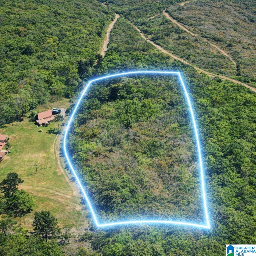 1st image of 00 Whisenant Road, Attalla, AL 35954 | MLS# 21463436