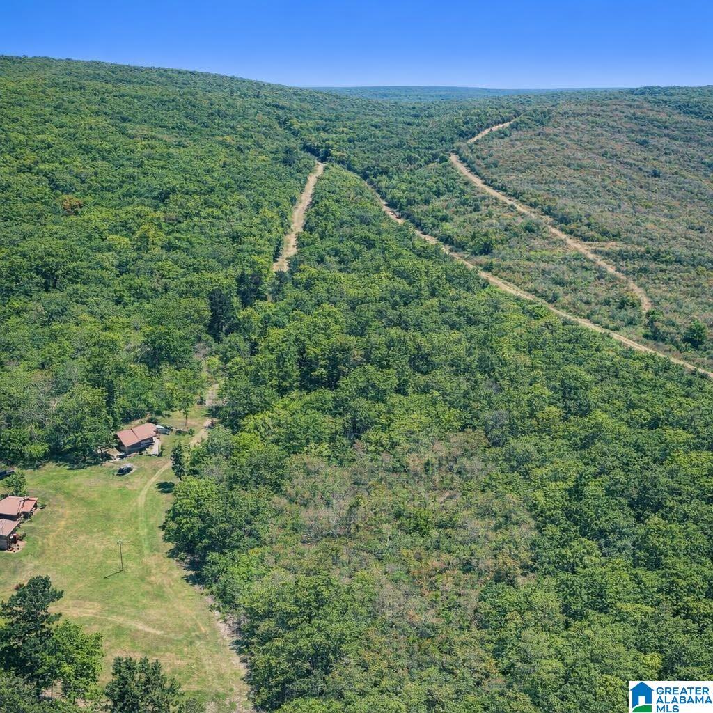 2nd image of 00 Whisenant Road, Attalla, AL 35954 | MLS# 21463436