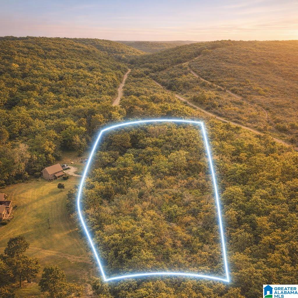4th image of 00 Whisenant Road, Attalla, AL 35954 | MLS# 21463436