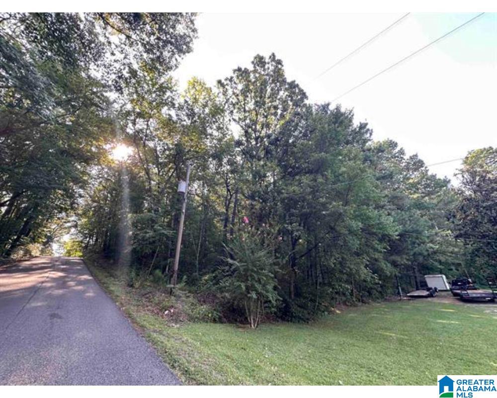 1st image of 7th Avenue N, Pell City, AL 35125 | MLS# 21463437
