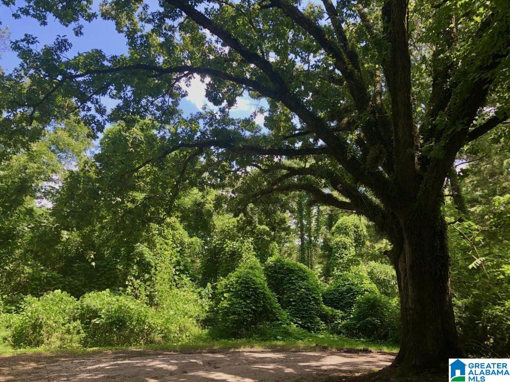 3rd image of 4251 Cedar Street, Birmingham, AL 35210 | MLS# 21463463