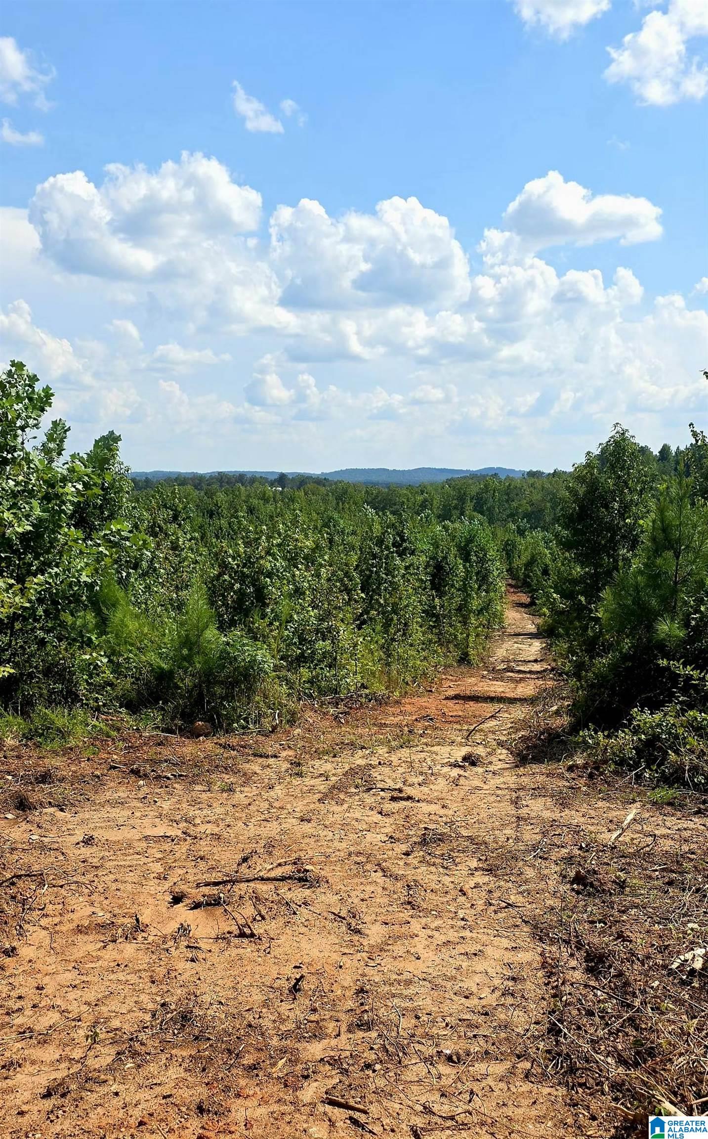 1st image of Tract 7 County Road 256, Wedowee, AL 36278 | MLS# 21463520
