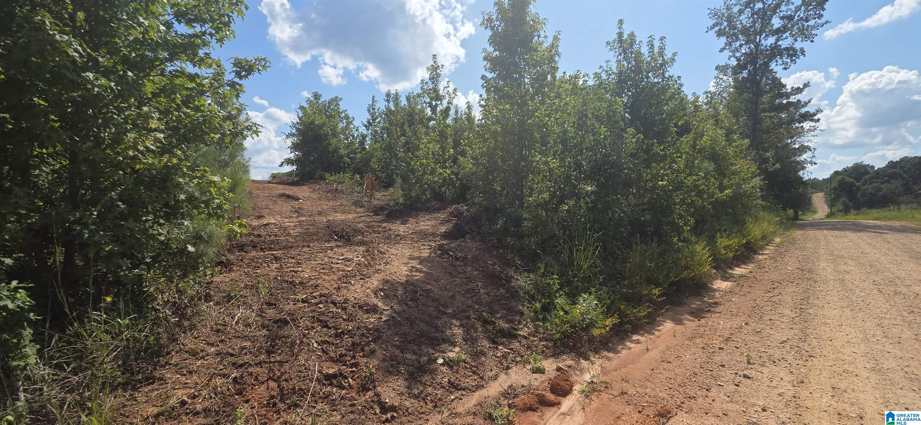 2nd image of Tract 7 County Road 256, Wedowee, AL 36278 | MLS# 21463520