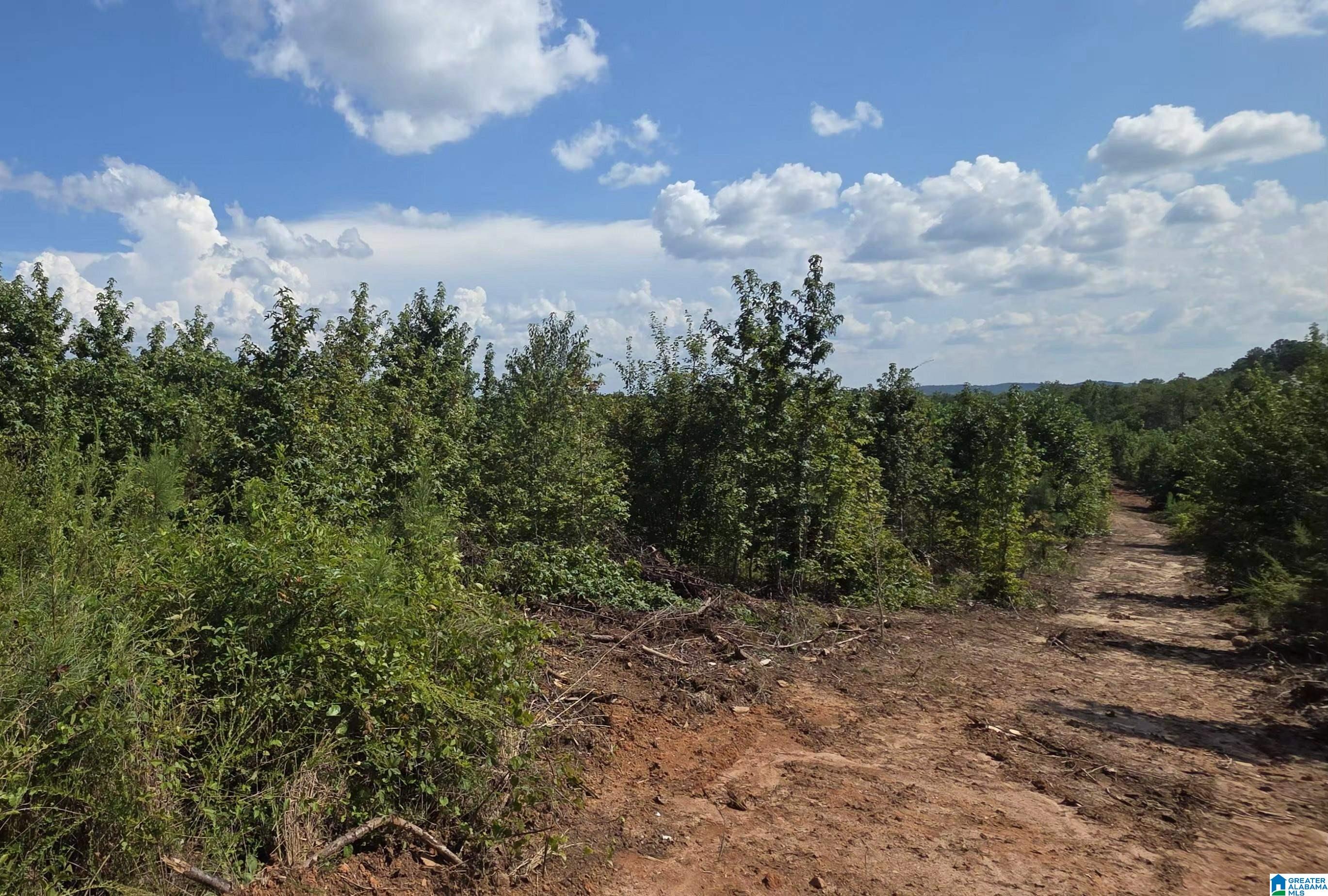 5th image of Tract 7 County Road 256, Wedowee, AL 36278 | MLS# 21463520