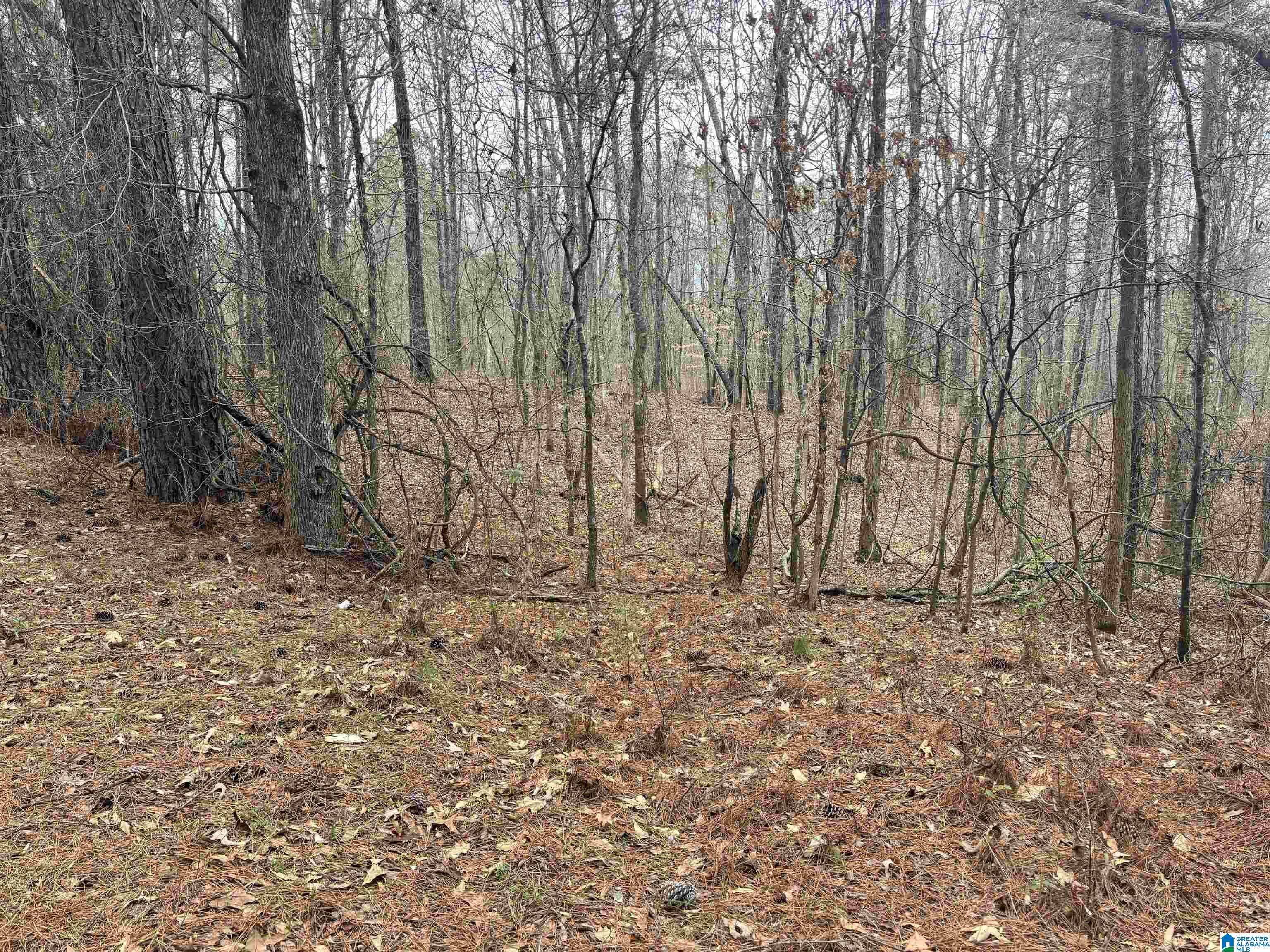 2nd image of 6901 Sellers Road, Dora, AL 35062 | MLS# 21463578