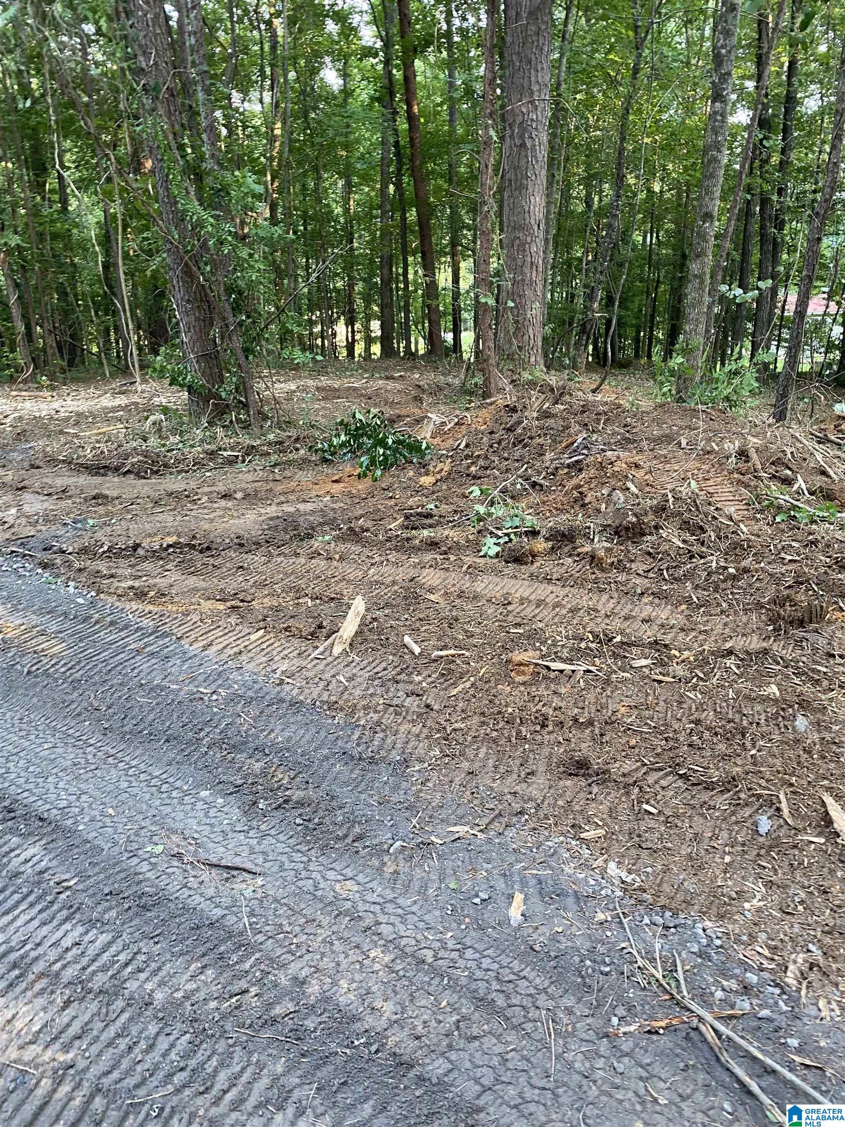 Photo 2 of Land for sale at 581 Buddy Vines Camp Rd, Bessemer, AL 35023 | MLS# 21463661 | Listing updated on 2026-08-31