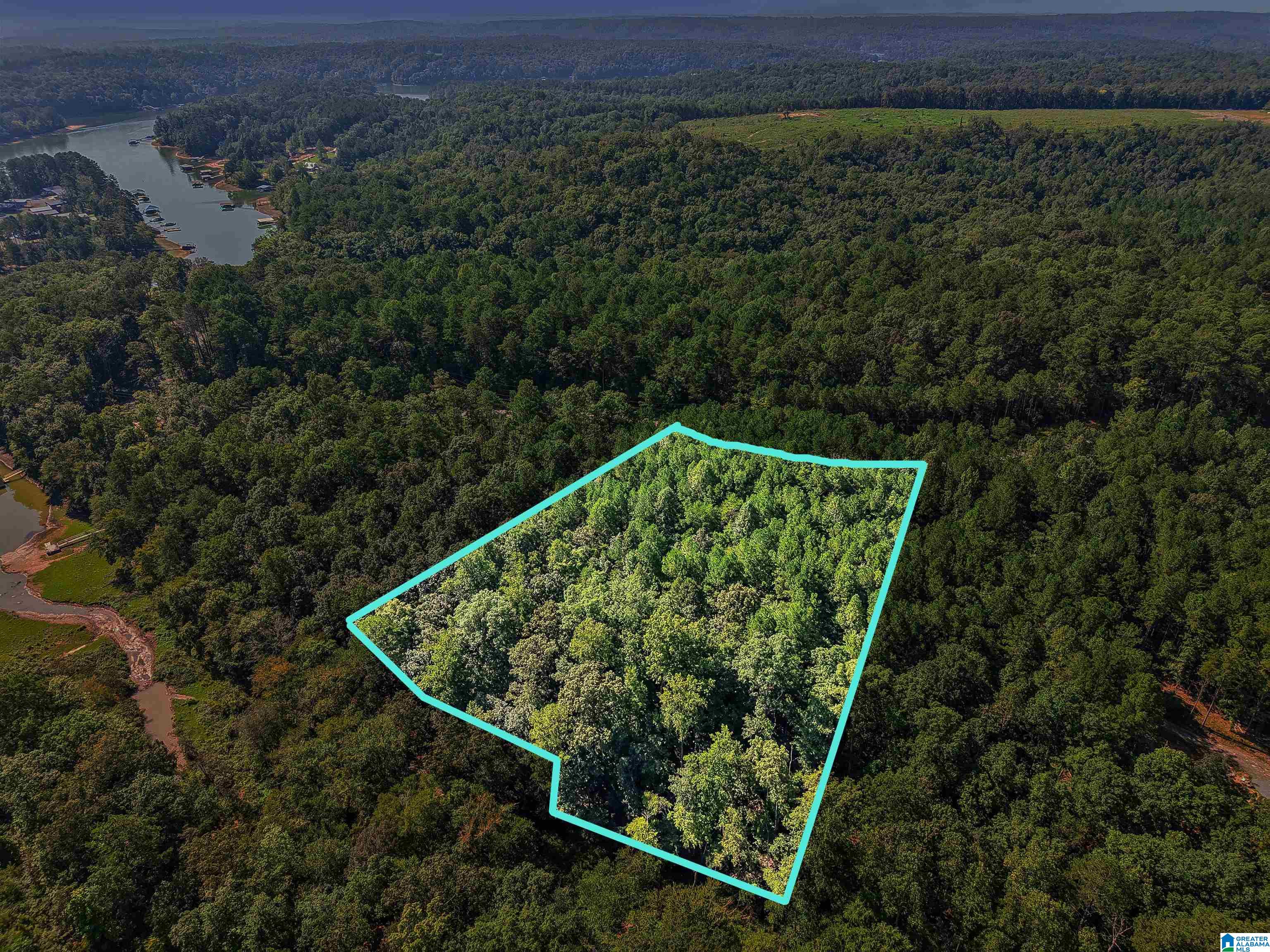 Photo 1 of Land for sale at Lot 20 Shoreside Dr, Double Springs, AL 35553 | MLS# 21463724 | Listing updated on 2026-09-02