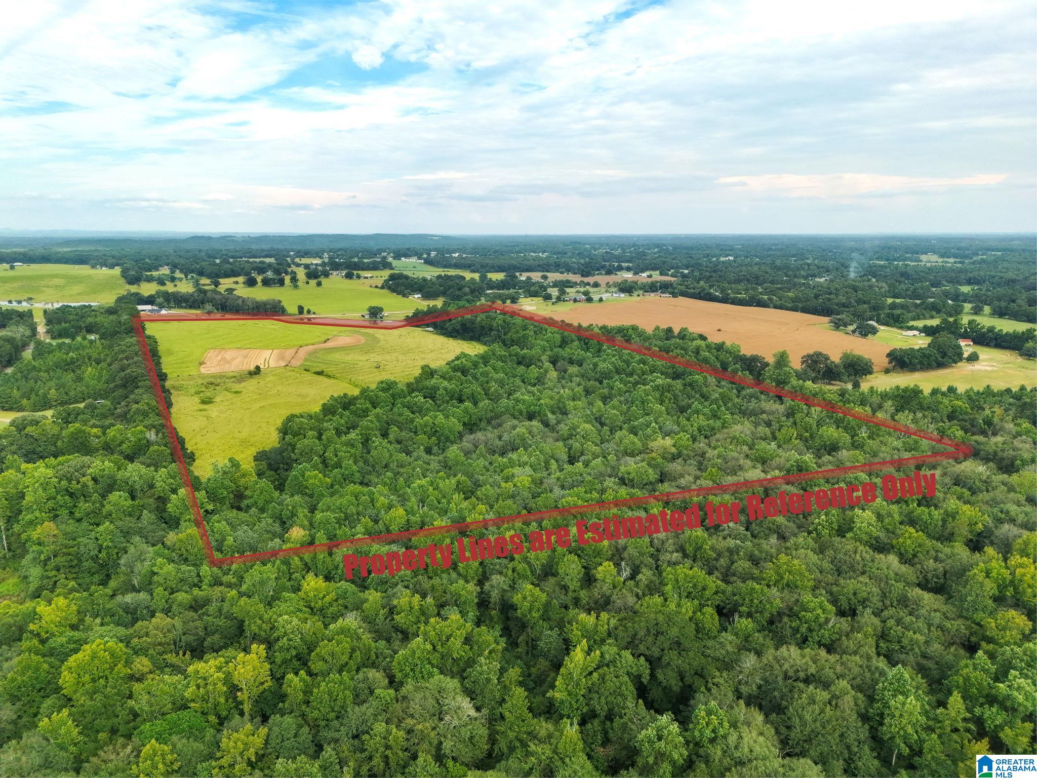 Photo 2 of Land for sale at 0 County Rd 43, Jemison, AL 35085 | MLS# 21463733 | Listing updated on 2026-09-11