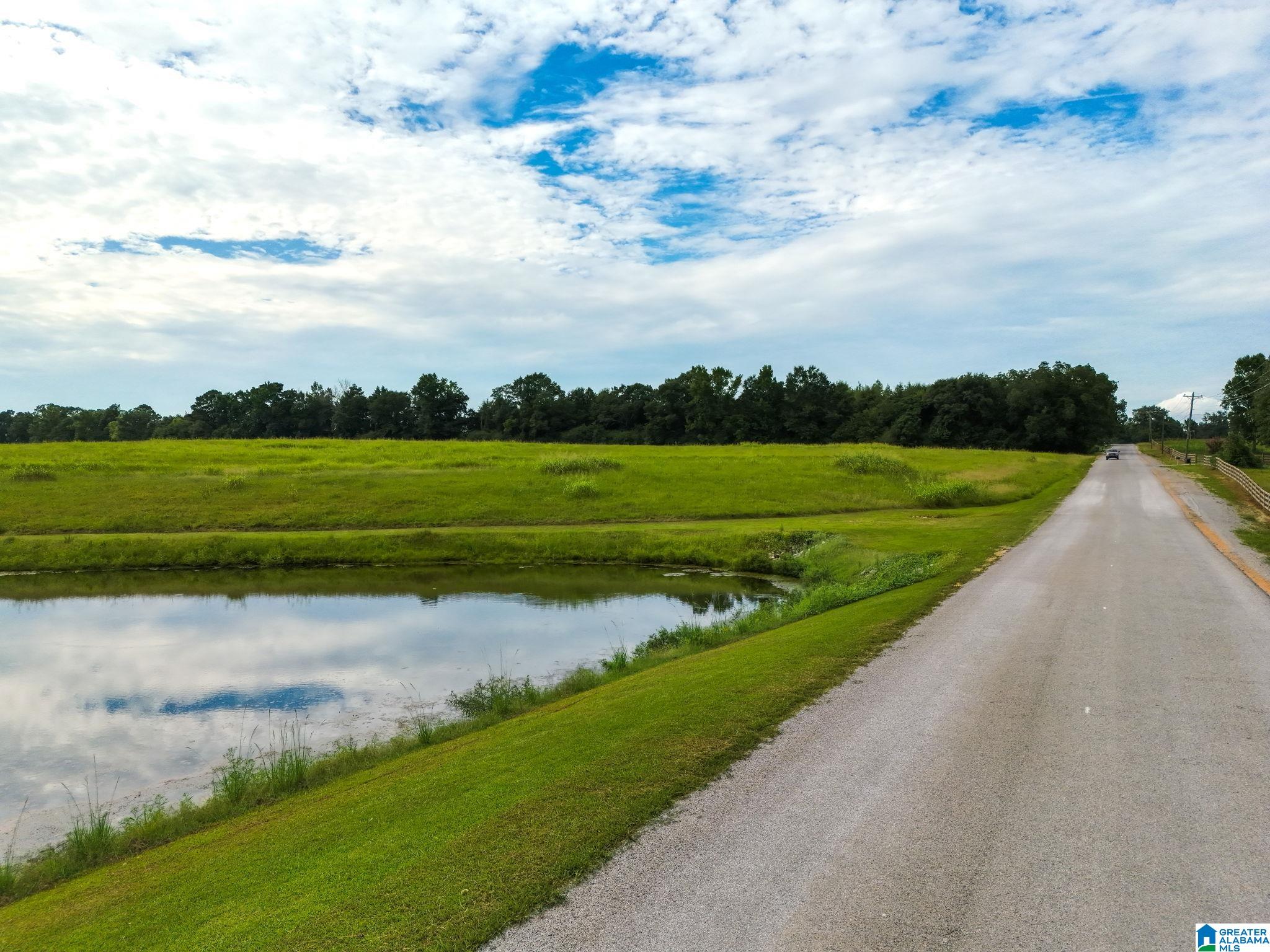 Photo 3 of Land for sale at 0 County Rd 43, Jemison, AL 35085 | MLS# 21463733 | Listing updated on 2026-09-11
