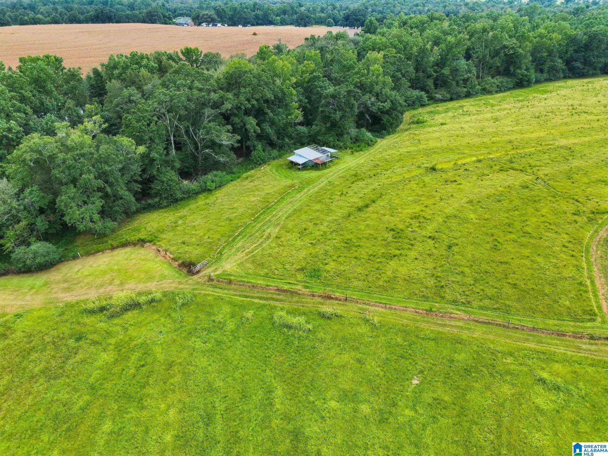 Photo 3 of Land for sale at 0 County Rd 43, Jemison, AL 35085 | MLS# 21463733 | Listing updated on 2026-09-11