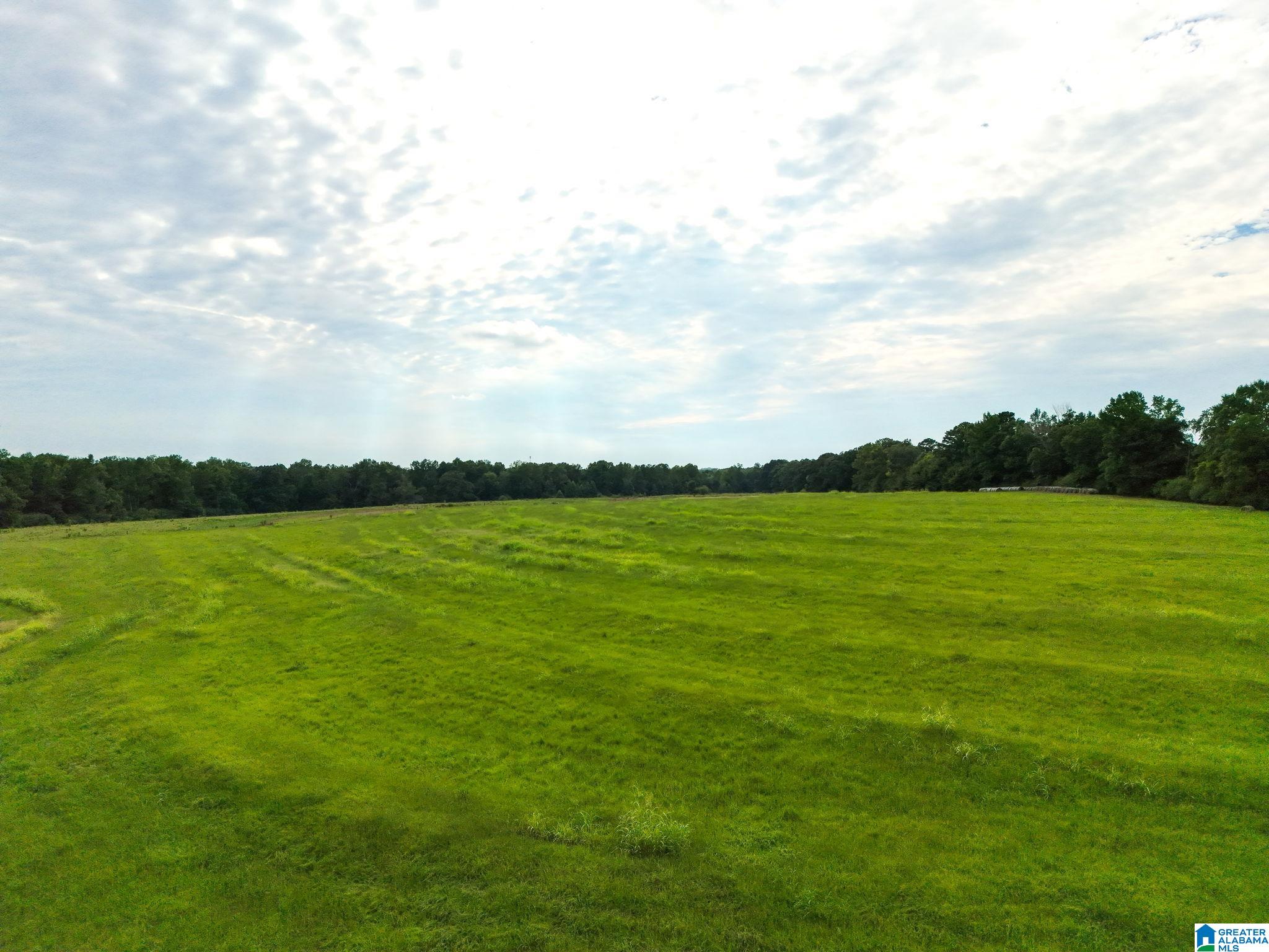 Photo 4 of Land for sale at 0 County Rd 43, Jemison, AL 35085 | MLS# 21463733 | Listing updated on 2026-09-11