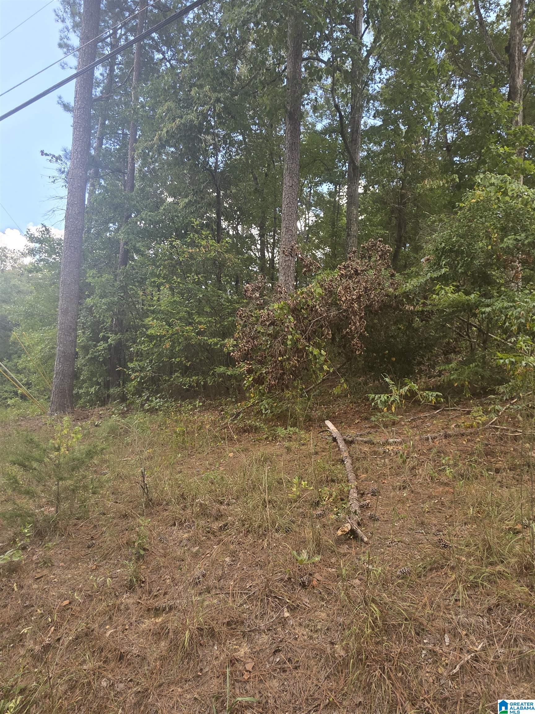 Photo 3 of Land for sale at 00 Delmar Dr, Lake View, AL 35111 | MLS# 21463766 | Listing updated on 2026-09-01