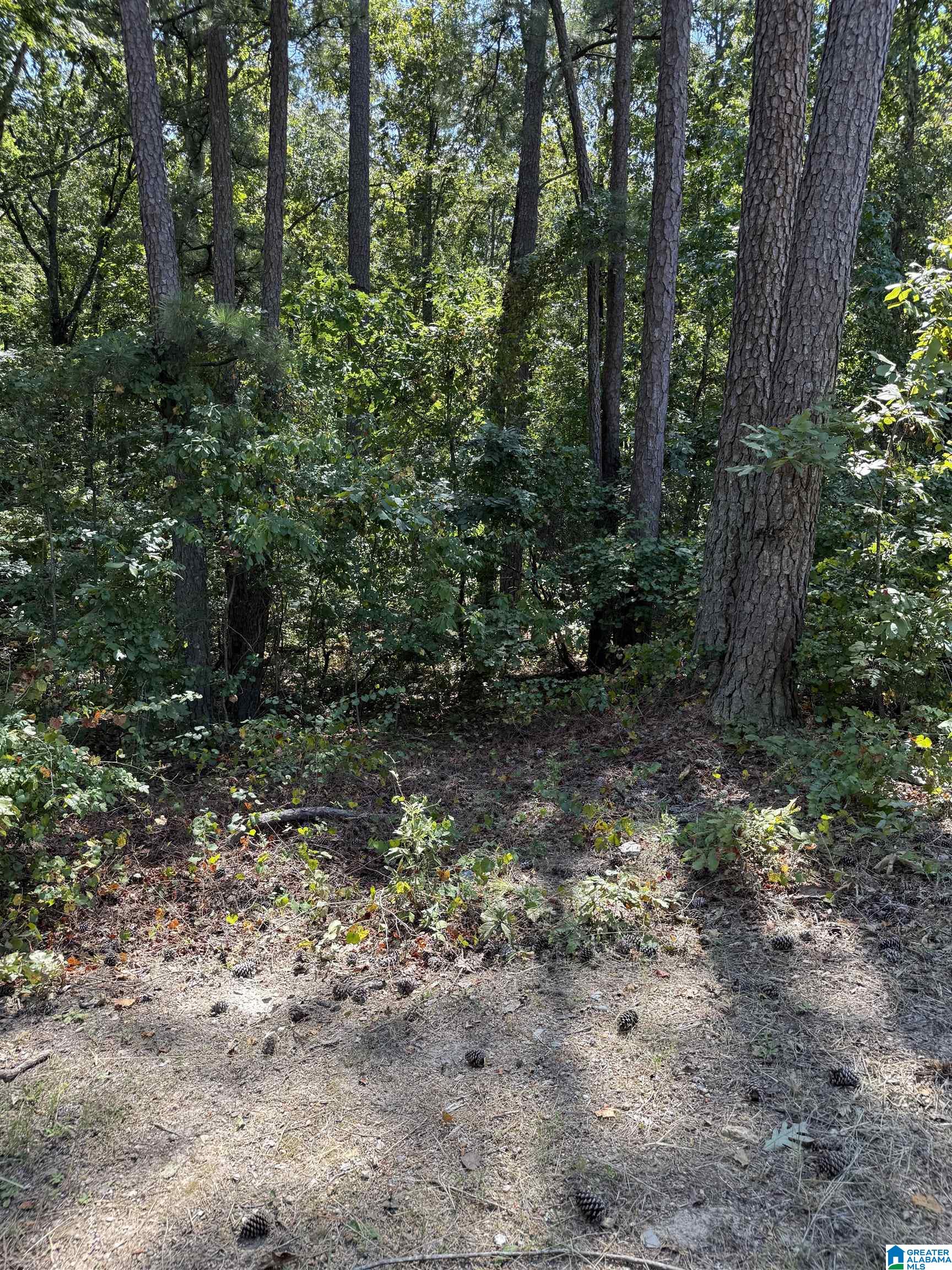 Photo 3 of Land for sale at 0 S Lakeshore Dr, Talladega, AL 35160 | MLS# 21463768 | Listing updated on 2026-09-01