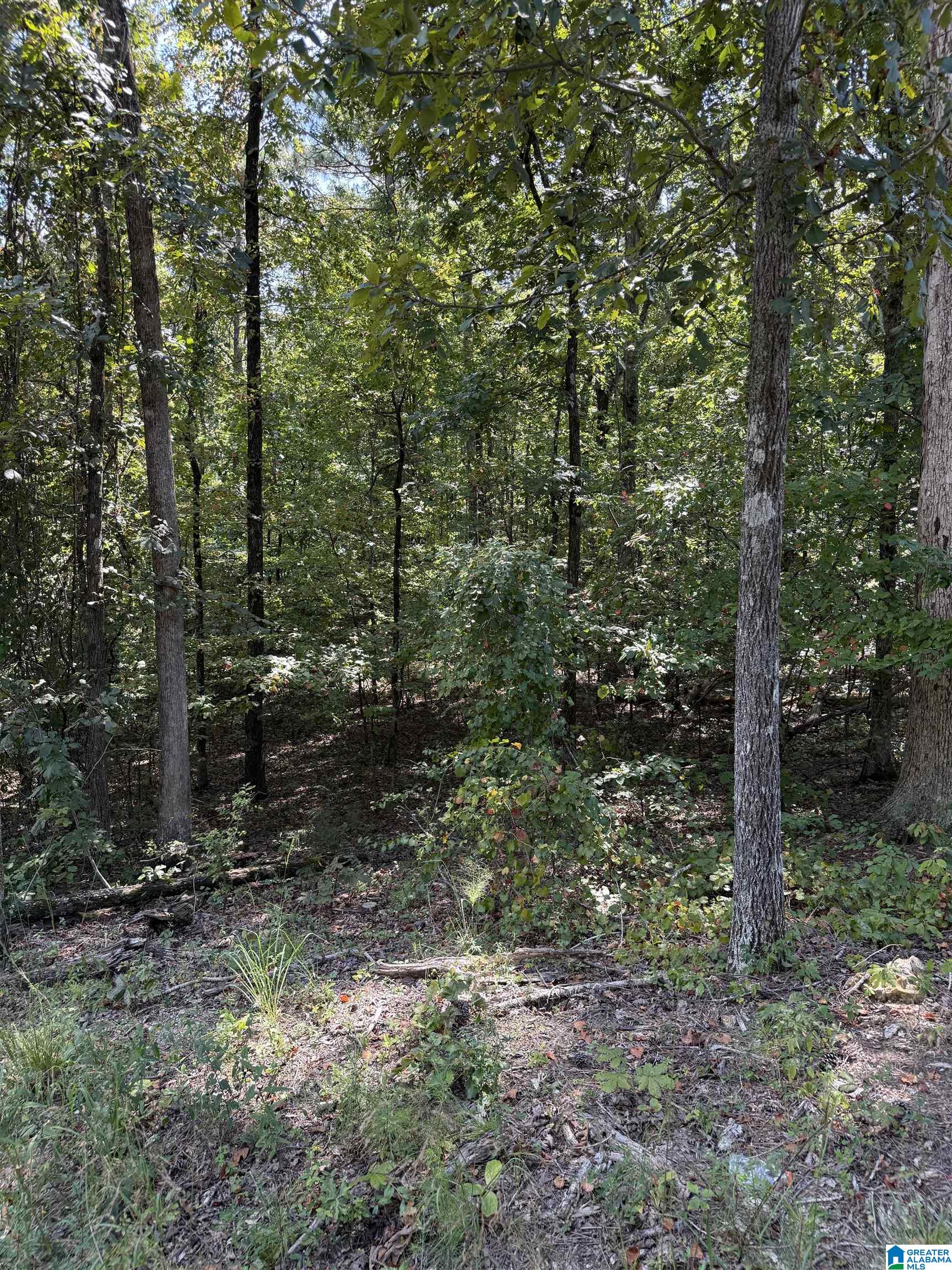 Photo 4 of Land for sale at 0 S Lakeshore Dr, Talladega, AL 35160 | MLS# 21463768 | Listing updated on 2026-09-01