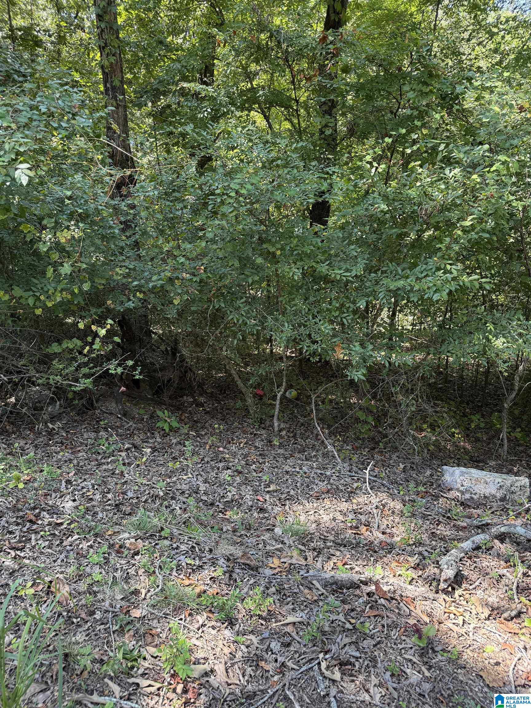Photo 3 of Land for sale at 0 Maplewood Dr, Talladega, AL 35160 | MLS# 21463771 | Listing updated on 2026-09-01