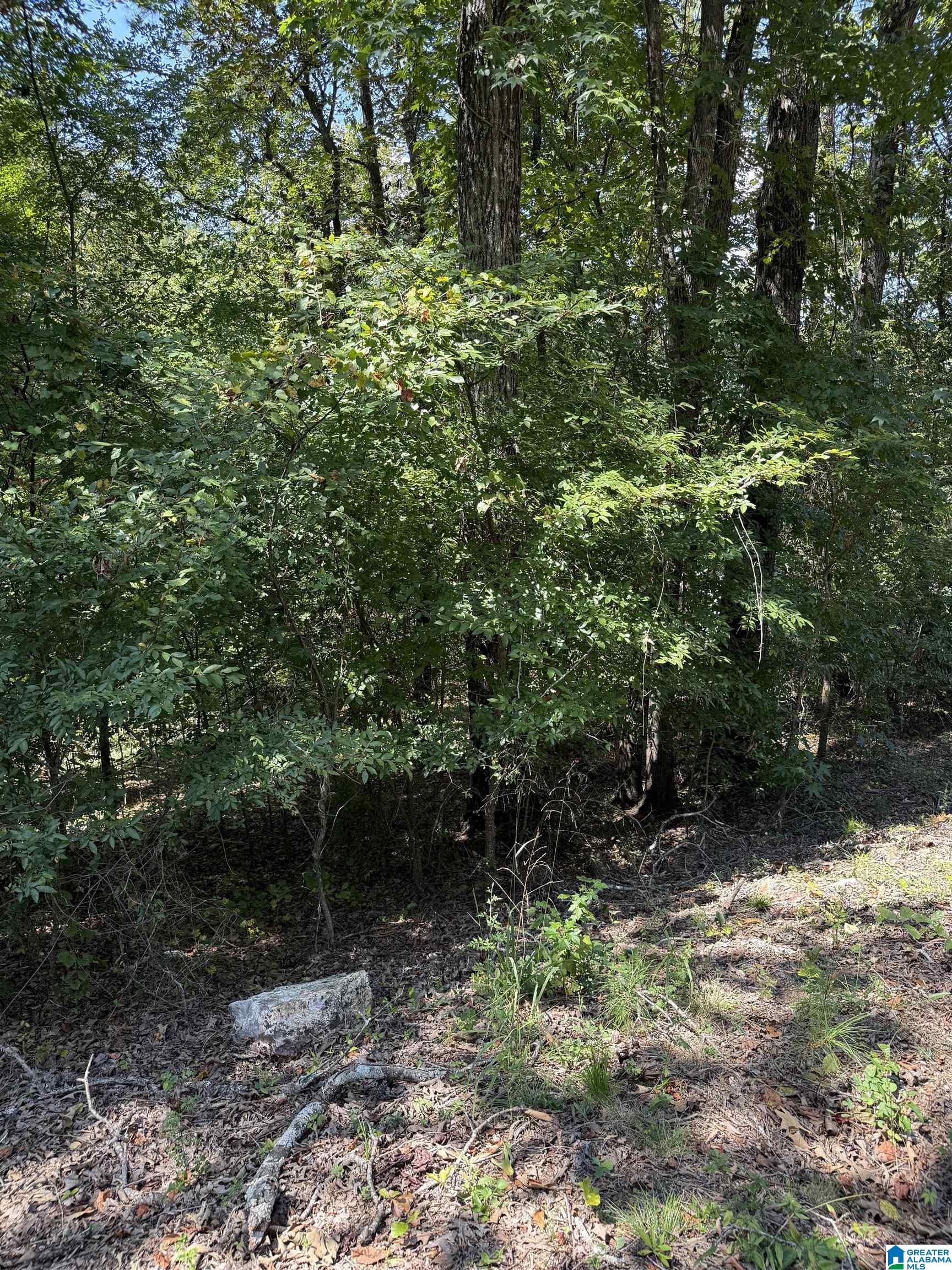 Photo 4 of Land for sale at 0 Maplewood Dr, Talladega, AL 35160 | MLS# 21463771 | Listing updated on 2026-09-01