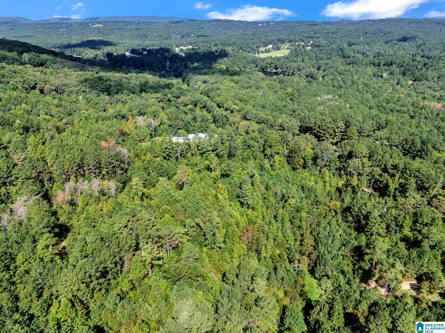 Photo 3 of Sale Pending at 0 Mountain View Rd, Odenville, AL 35120 | MLS# 21463772 | Listing updated on 2026-09-14