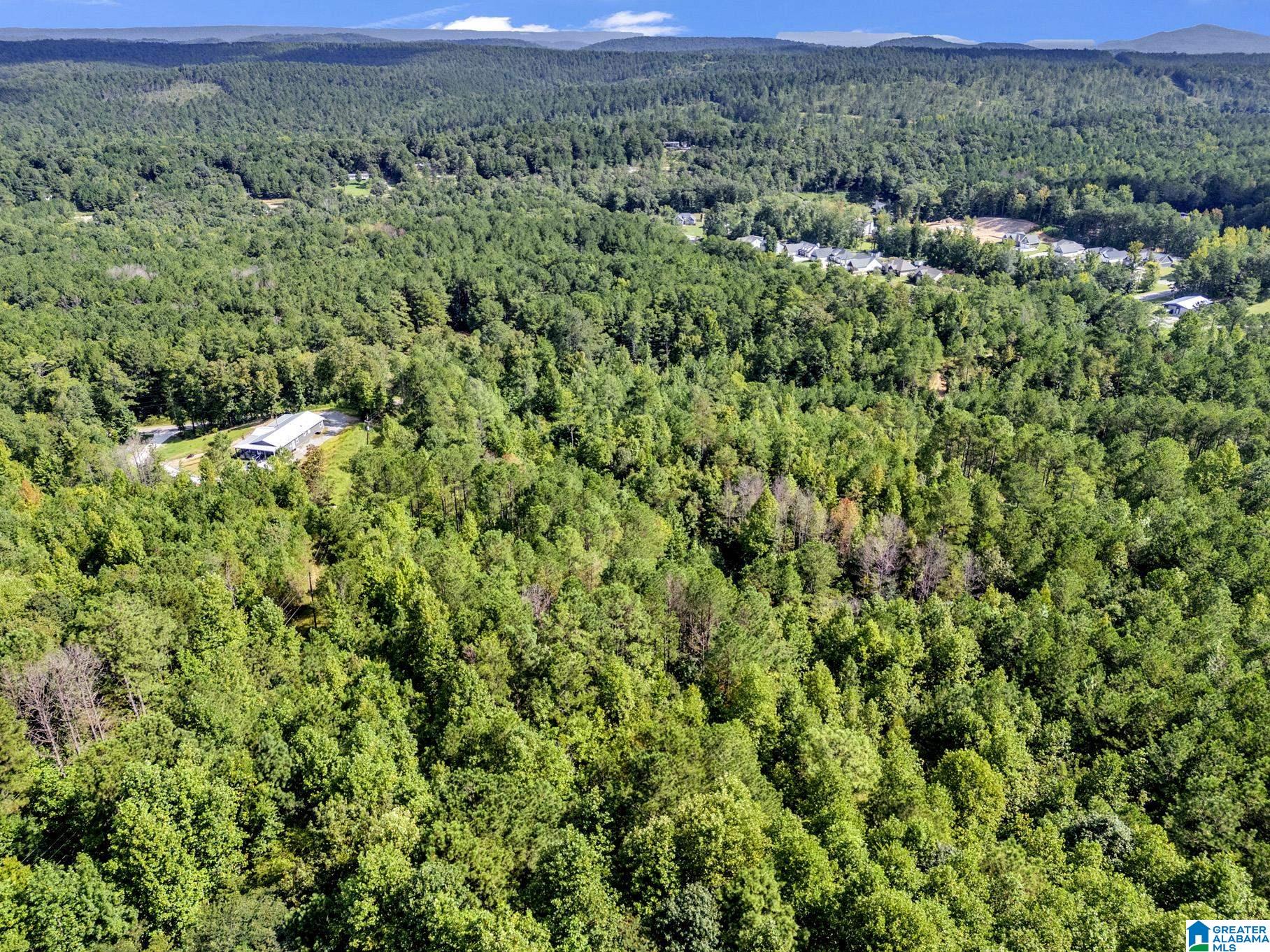 Photo 4 of Sale Pending at 0 Mountain View Rd, Odenville, AL 35120 | MLS# 21463772 | Listing updated on 2026-09-14