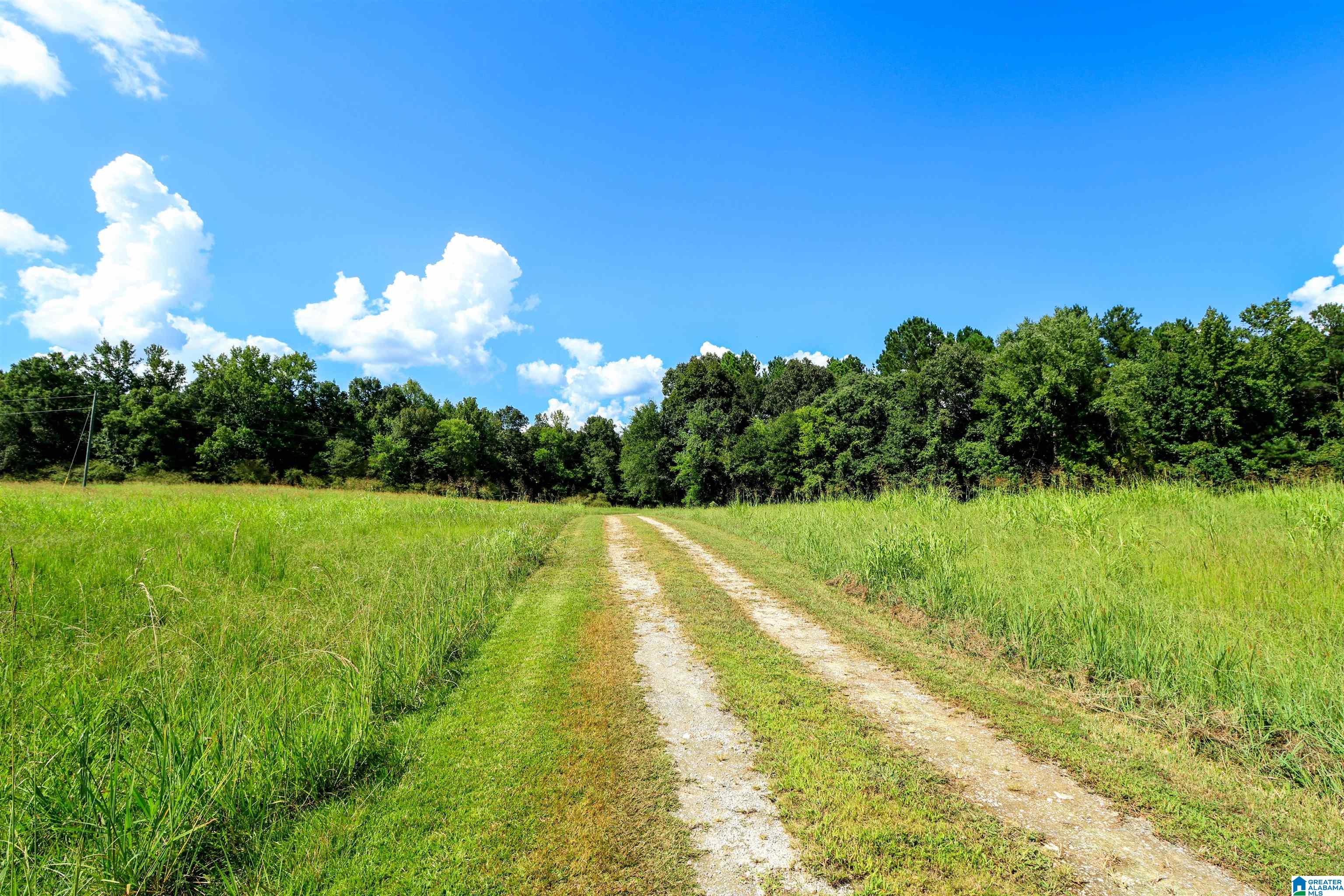 Photo 4 of Single family home for sale at 35 Rock Springs Rd, Ohatchee, AL 36271 | MLS# 21463804 | Listing updated on 2026-09-11