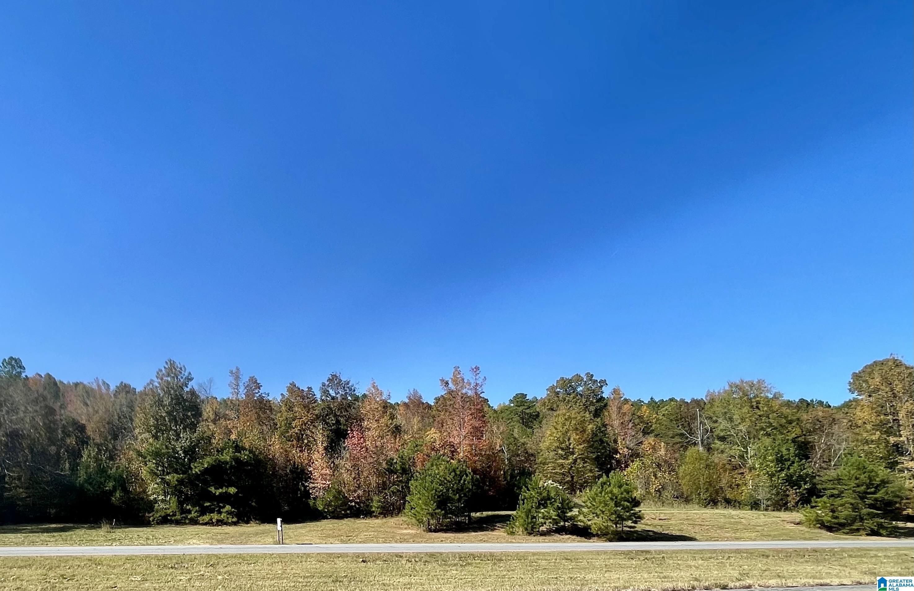 Photo 1 of Land for sale at Lot #4 Hwy 75, Oneonta, AL 35121 | MLS# 21463815 | Listing updated on 2026-09-03