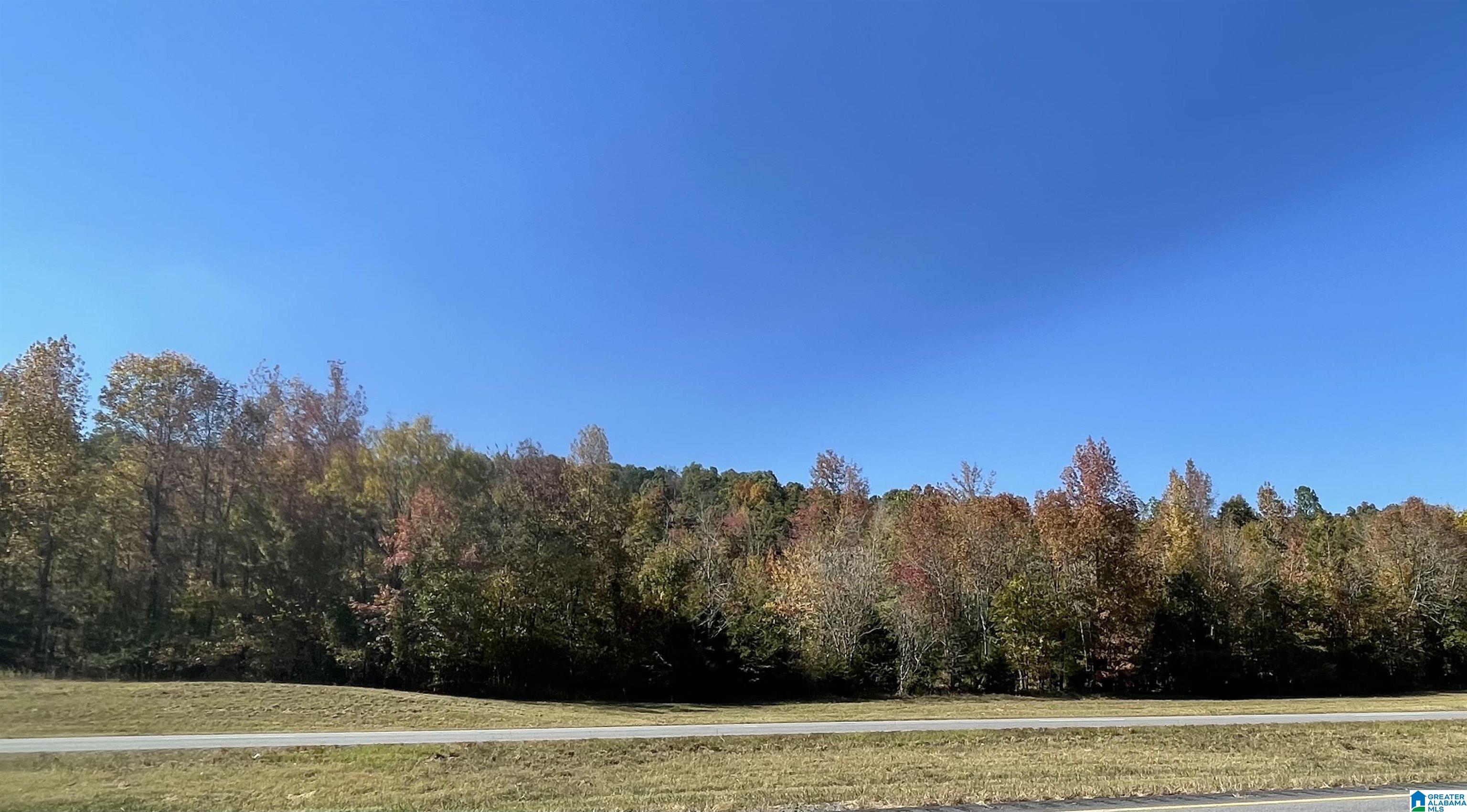 Photo 1 of Land for sale at Lot #2 Hwy 75, Oneonta, AL 35121 | MLS# 21463830 | Listing updated on 2026-09-02