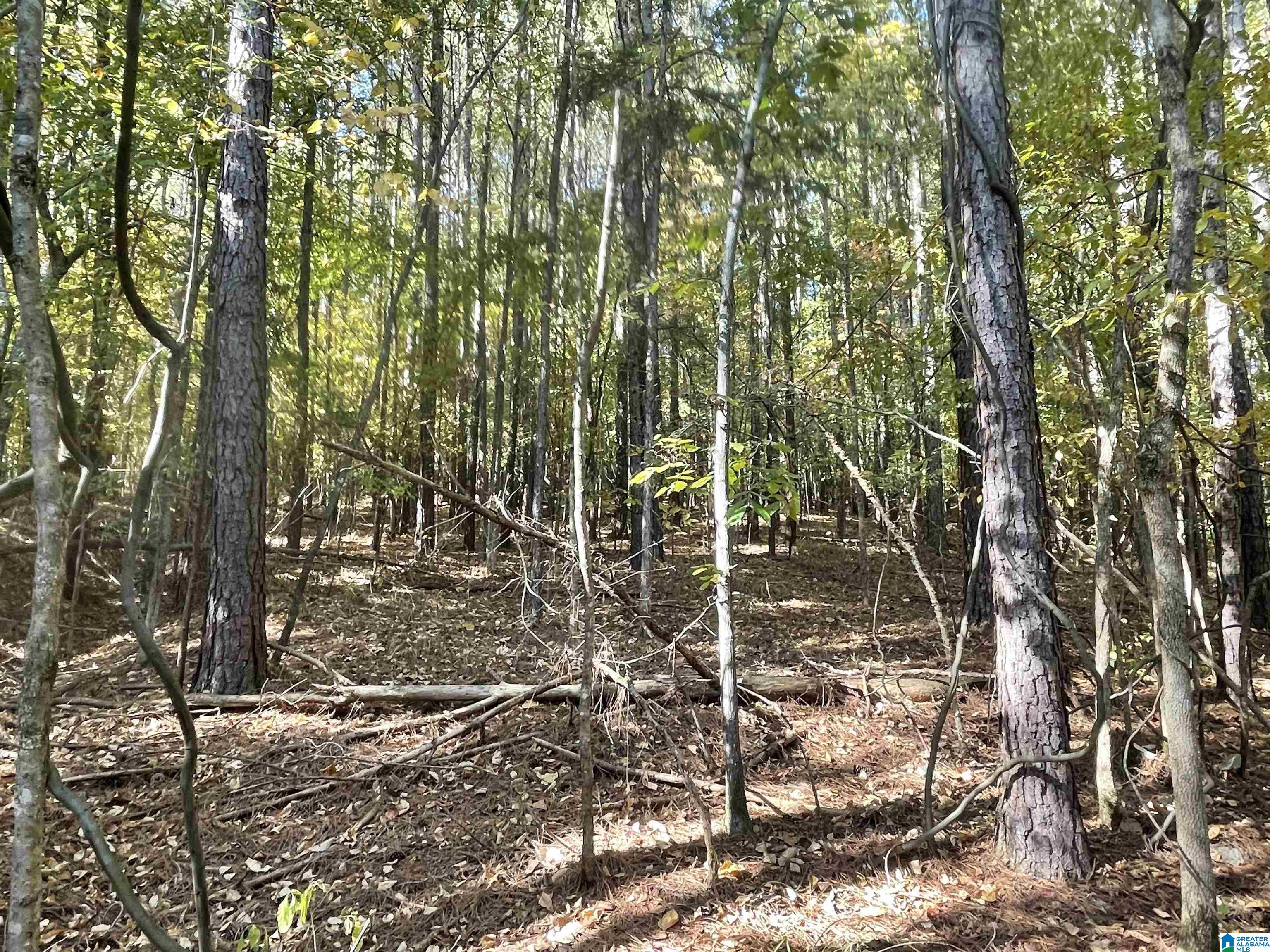 Photo 3 of Land for sale at Lot #2 Hwy 75, Oneonta, AL 35121 | MLS# 21463830 | Listing updated on 2026-09-02