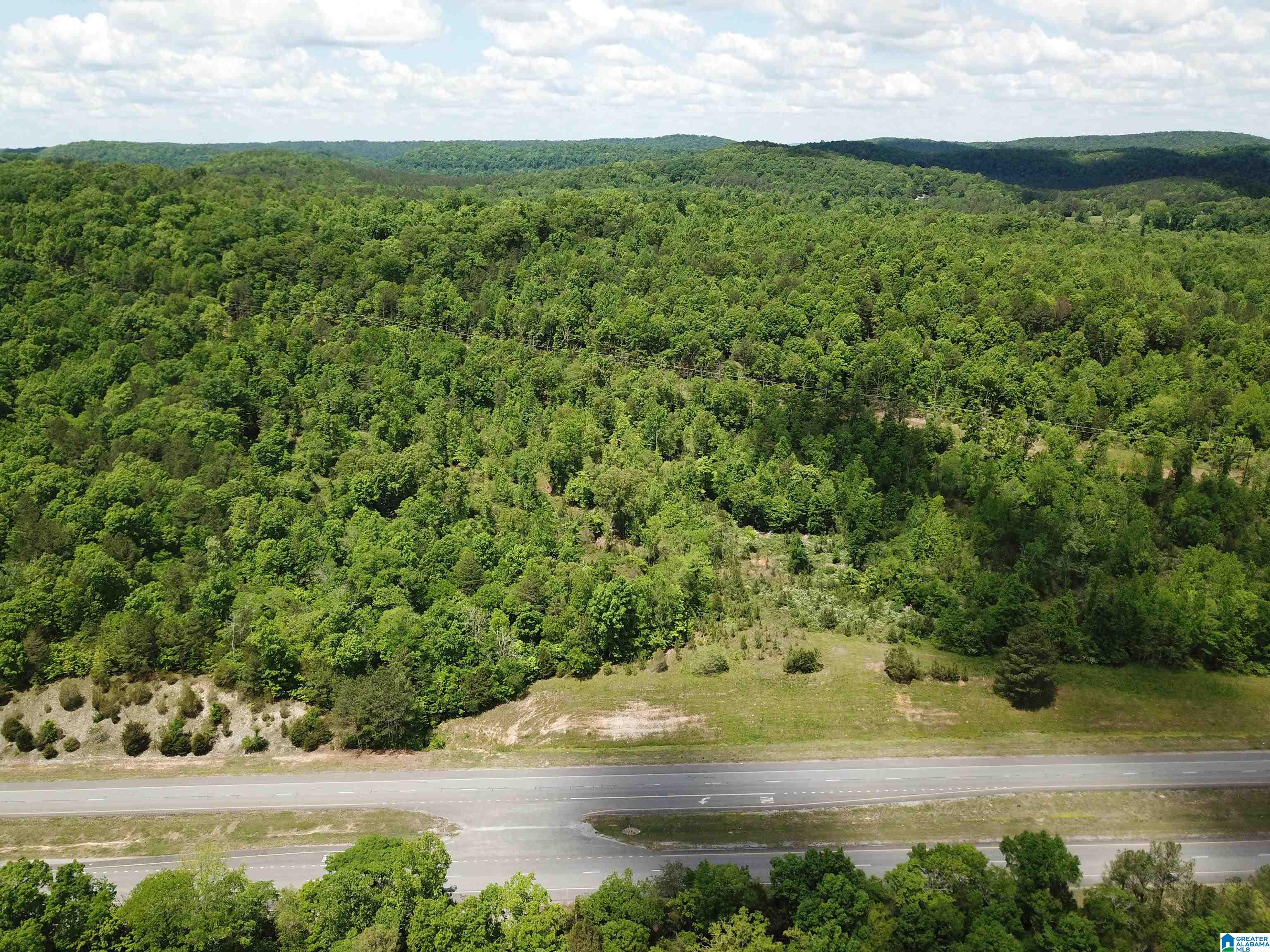 Photo 2 of Land for sale at Lot #1 Hwy 75, Oneonta, AL 35121 | MLS# 21463831 | Listing updated on 2026-09-02