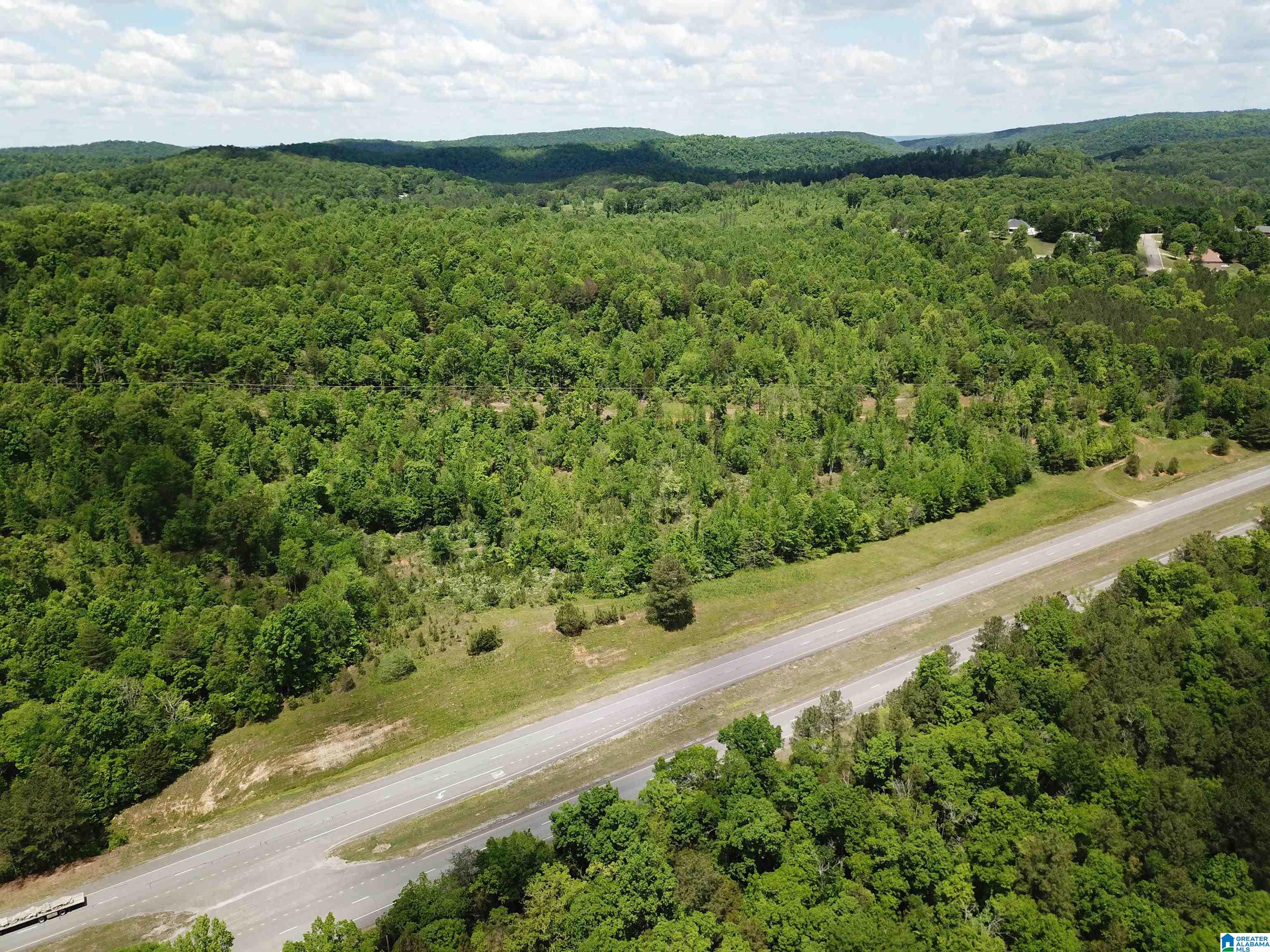 Photo 3 of Land for sale at Lot #1 Hwy 75, Oneonta, AL 35121 | MLS# 21463831 | Listing updated on 2026-09-02