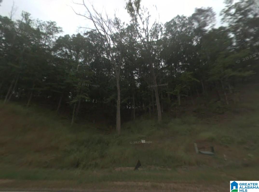 Photo 2 of Land for sale at 1409 Lookout Mtn Dr, Scottsboro, AL 35769 | MLS# 21463866 | Listing updated on 2026-09-03