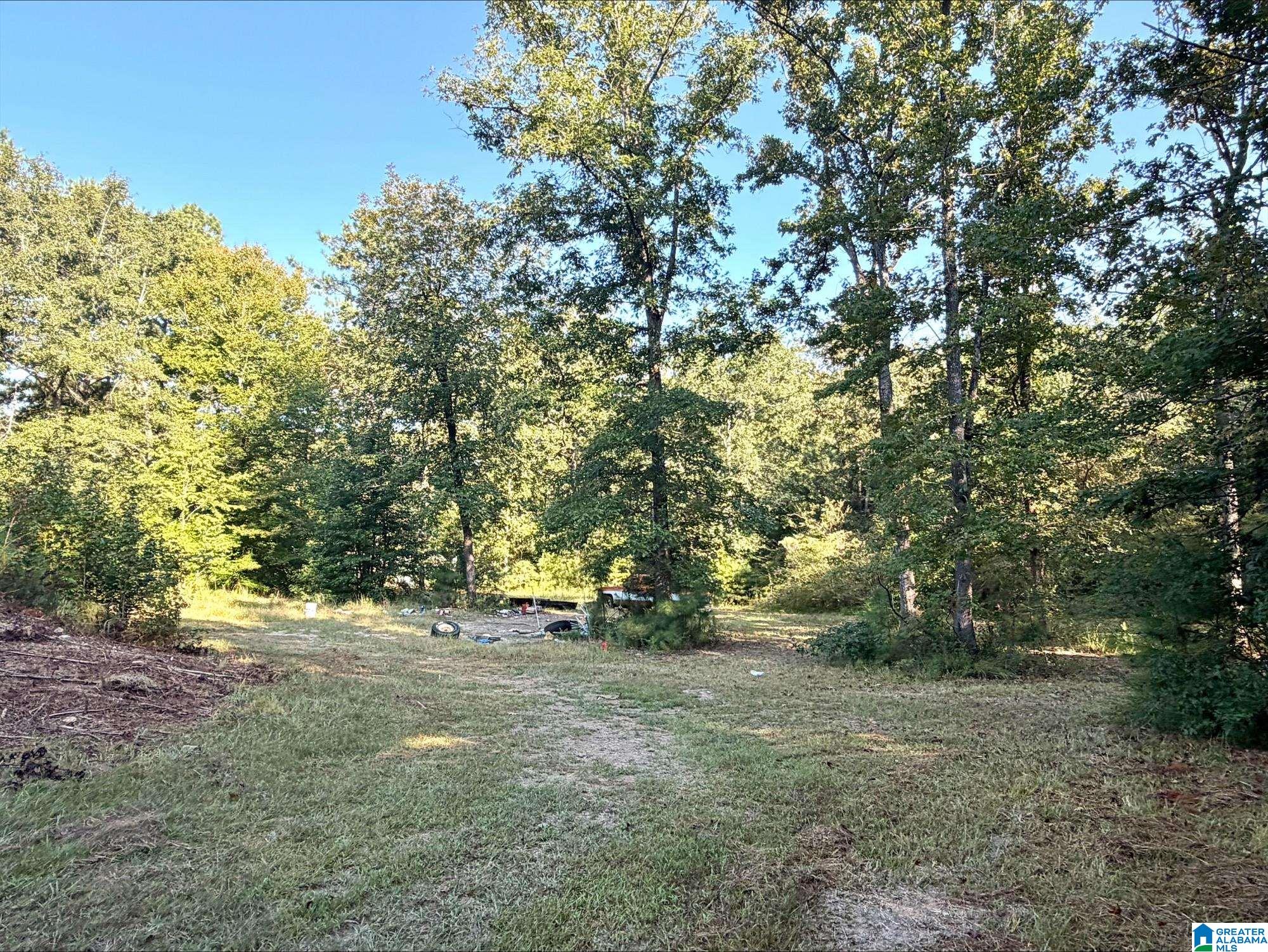 Photo 2 of Land for sale at 423 Hodgens Rd, Chelsea, AL 35043 | MLS# 21463869 | Listing updated on 2026-09-09