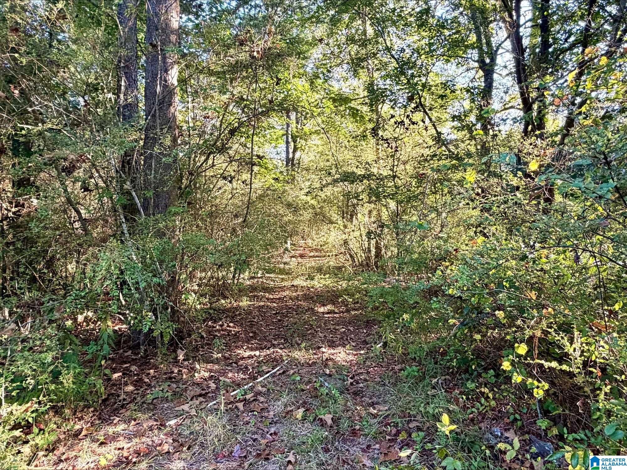 Photo 4 of Land for sale at 423 Hodgens Rd, Chelsea, AL 35043 | MLS# 21463869 | Listing updated on 2026-09-09
